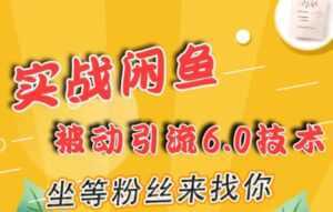 闲鱼被动引流技术6.0,坐等粉丝来找你,实战培训课程视频-课程网