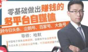 零基础做出赚钱的多平台自媒体，玩转今日头条-企鹅号-百家号-大鱼号-课程网