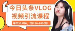 今日头条VLOG视频引流技术，每天30分钟，日引10-1000粉-课程网