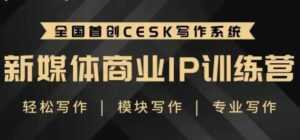 自媒体运营培训课程，新媒体商业IP训练营，轻松写作赚钱-课程网
