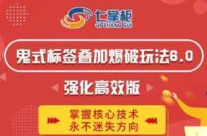 鬼脚七《鬼式标签叠加玩法6.0》强化高效版,提高UV价值,玩转搜索-课程网