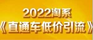 茂隆《直通车低价引流》教你低投入,高回报的直通车玩法-课程网