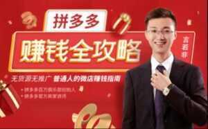 言若非《拼多多赚钱全攻略》培训课程，带你玩赚拼多多，每月多赚3万块-课程网