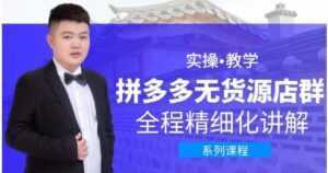圣淘电商《拼多多无货源店群》实操教学,全程精细化讲解-课程网