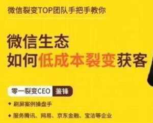 鉴锋《微信生态如何低成本裂变获客》助你进阶微信裂变高手-课程网