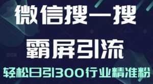 《微信搜一搜霸屏引流课》被动精准引流,轻松日引300行业精准粉-课程网