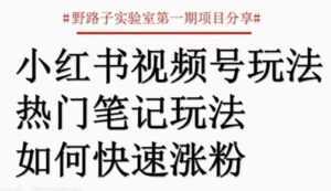 小红书视频号项目,直接上手操作,月入过万-课程网