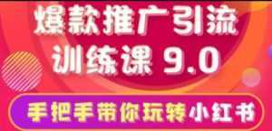 小红书怎么推广,小红书爆款推广引流训练课9.0,带你一部手机即可月赚万元-课程网