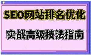樊天华《SEO网站排名优化》实战高级技法指南-课程网