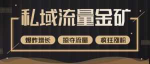 价值2200元私域流量的金矿,循环获取各大媒体精准流量,无限复制网红的精准流量!-课程网