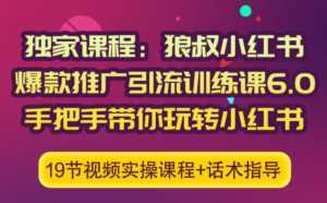 狼叔小红书爆款推广引流训练课6.0，手把手带你玩转小红书-课程网
