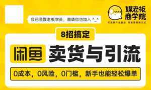 媒老板8招搞定闲鱼卖货与引流:3天卖货10万,3个月加粉50万-课程网