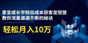 素宣成长学院低成本获客变现营,教你流量源源不断的秘诀,轻松月入10万-课程网