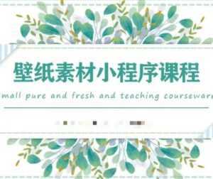 闪闪壁纸号运营教程,抓住图文风口,快速吸粉变现-课程网