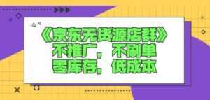 诺思星商学院京东无货源店群课:不推广,不刷单,零库存,低成本-课程网