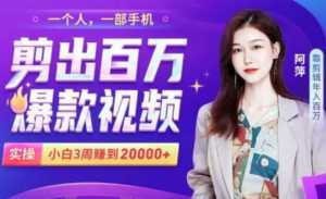 小白易上手的手机剪辑赚钱课,抓住短视频风口月赚2万+-课程网