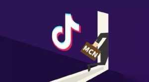 抖音MCN孵化课程,帮助商家拓客,帮助达人更好变现的课程,从0基础到超级IP-课程网