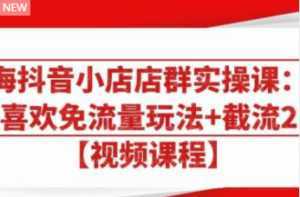 大海抖音小店店群实操课：猜你喜欢免流量玩法+截流 2.0-课程网