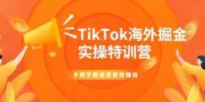 TikTok海外掘金实操特训营：手把手教运营变现赚钱-课程网