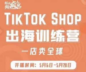 疯人院:TikTok Shop出海训练营(一店卖全球),出海抢占全球新流量-课程网