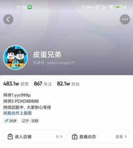 沙雕动画-皮蛋兄弟·熊猫人动画教学制作,全套素材文案教程分享!-课程网