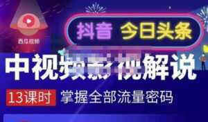 嚴如意·中视频影视解说—掌握流量密码，自媒体运营创收，批量运营账号-课程网
