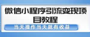 微信小程序引流变现项目教程，当天操作当天就有收益，变现不再是难事-课程网