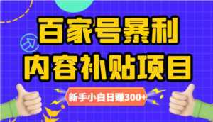 百家号暴利内容补贴项目,图文10元一条,视频30一条,新手小白日赚300+-课程网