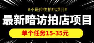 最新暗访拍店信息差项目,单个任务15-35元(不是传统拍店项目)-课程网