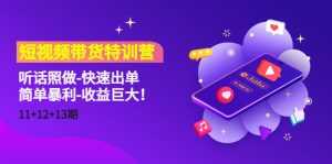 短视频带货特训营(11+12+13期)听话照做-快速出单-简单暴利-收益巨大!-课程网