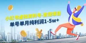 小红书虚拟资料号-变现项目:单号单月纯利润1-5w+实操玩法分享-课程网