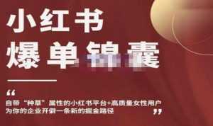 小红书爆单锦囊,自带种草属性+高质量女性用户,为你的企业开辟一条新的掘金路径-课程网