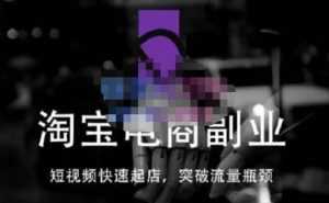 蓝Sir派·淘宝短视频快速起店,替代传统搜索方式,学会做一个不一样的淘宝店-课程网