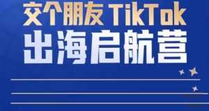 TikTok商家出海启航营：教你TikTok跨境电商的底层逻辑，即使是零基础的你也可以快速上手-课程网