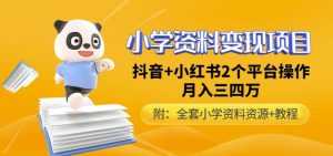 唐老师小学资料变现项目,抖音+小红书2个平台操作,月入数万元(全套资料+教程)-课程网