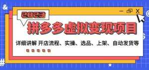 程哥拼多多虚拟变现项目：讲解开店流程-实操-选品-上架-自动发货等-课程网