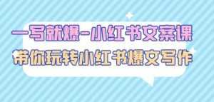 一写就爆-小红书文案课:带你玩转小红收爆文写作(45节课)-课程网
