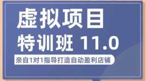 陆明明·虚拟项目特训班(10.0+11.0),0成本获取虚拟素材,0基础打造自动盈利店铺-课程网