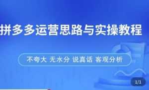拼多多店铺运营思路与实操教程,快速学会拼多多开店和运营,少踩坑,多盈利-课程网