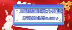 豆瓣精准暴力引流，日引精准粉500+【12课时】-课程网