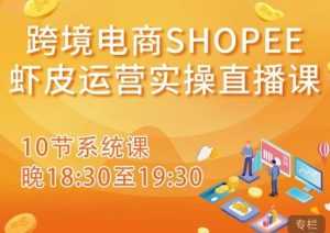 跨境电商Shopee虾皮运营实操直播课,从零开始学,入门到精通(10节系统课)-课程网