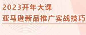 2023亚马逊新品推广实战技巧，线下百万美金课程的精简版，简单粗暴可复制，实操性强的推广手段-课程网