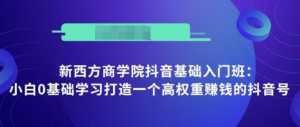 抖音基础入门班:小白0基础学习打造一个高权重赚钱的抖音号-课程网