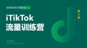 2020最新TikTok流量增长训练营(完结)附PPT-课程网