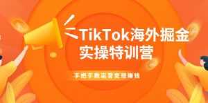 TikTok海外掘金实操特训营：手把手教运营变现赚钱-课程网