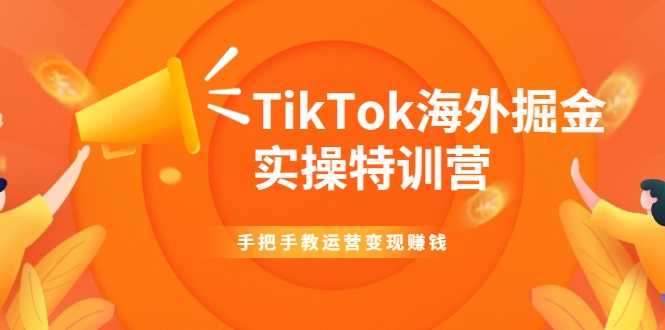 TikTok海外掘金实操特训营:手把手教运营变现赚钱-课程网