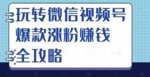玩转微信视频号爆款涨粉赚钱全攻略,让你快速抓住流量风口,收获红利财富-课程网