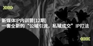 新媒体IP内训营(12期)，一套全新的“公域引流，私域成交”IP打法，直接带走-课程网