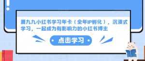 厦九九小红书学习年卡（全年IP孵化），沉浸式学习，一起成为有影响力的小红书博主-课程网