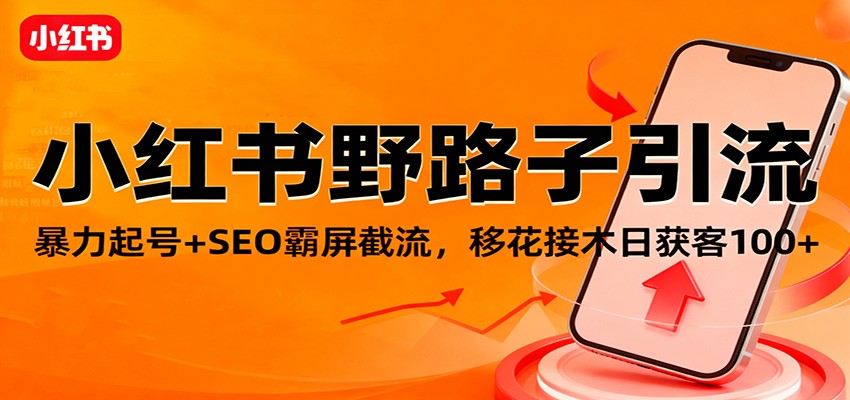 小红书野路子引流，暴力起号+SEO霸屏截流，移花接木日获客100+-课程网